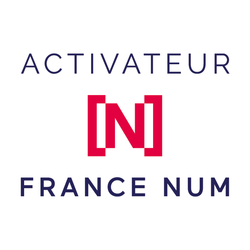 Activateur France Num, French Government Digital Initiative