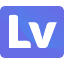 Logo Leadview.io