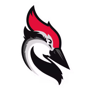Logo Woodpecker